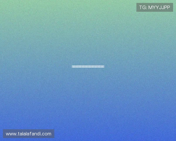 最新版本官网九游游戏更新动态与用户评价全解析